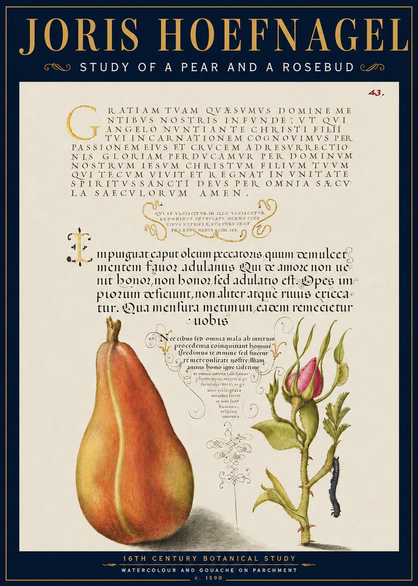 Joris Hoefnagel Aphorisms with Pear and Rose No6 - Poszter