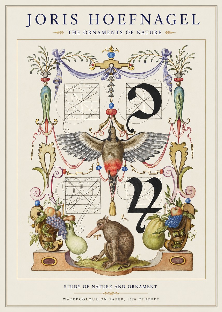 Joris Hoefnagel Study of Nature and Ornament No1 - Poszter