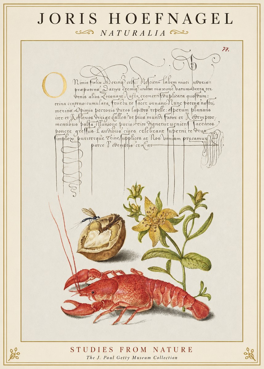 Joris Hoefnagel Studies from Nature No1 - Poszter