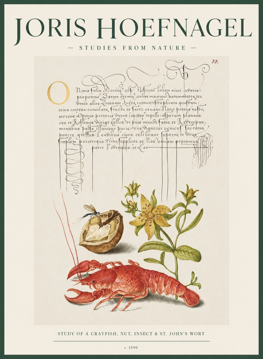 Joris Hoefnagel Studies from Nature No2 - Poszter