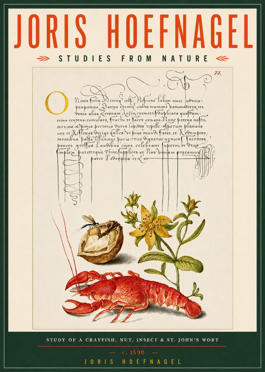 Joris Hoefnagel Studies from Nature No5 - Poszter