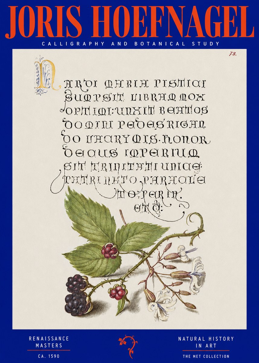 Joris Hoefnagel Calligraphy and Botanical Study II No2 - Poszter