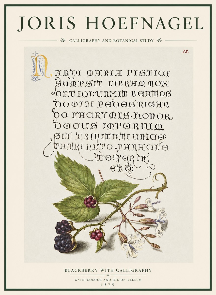 Joris Hoefnagel Calligraphy and Botanical Study II No5 - Poszter