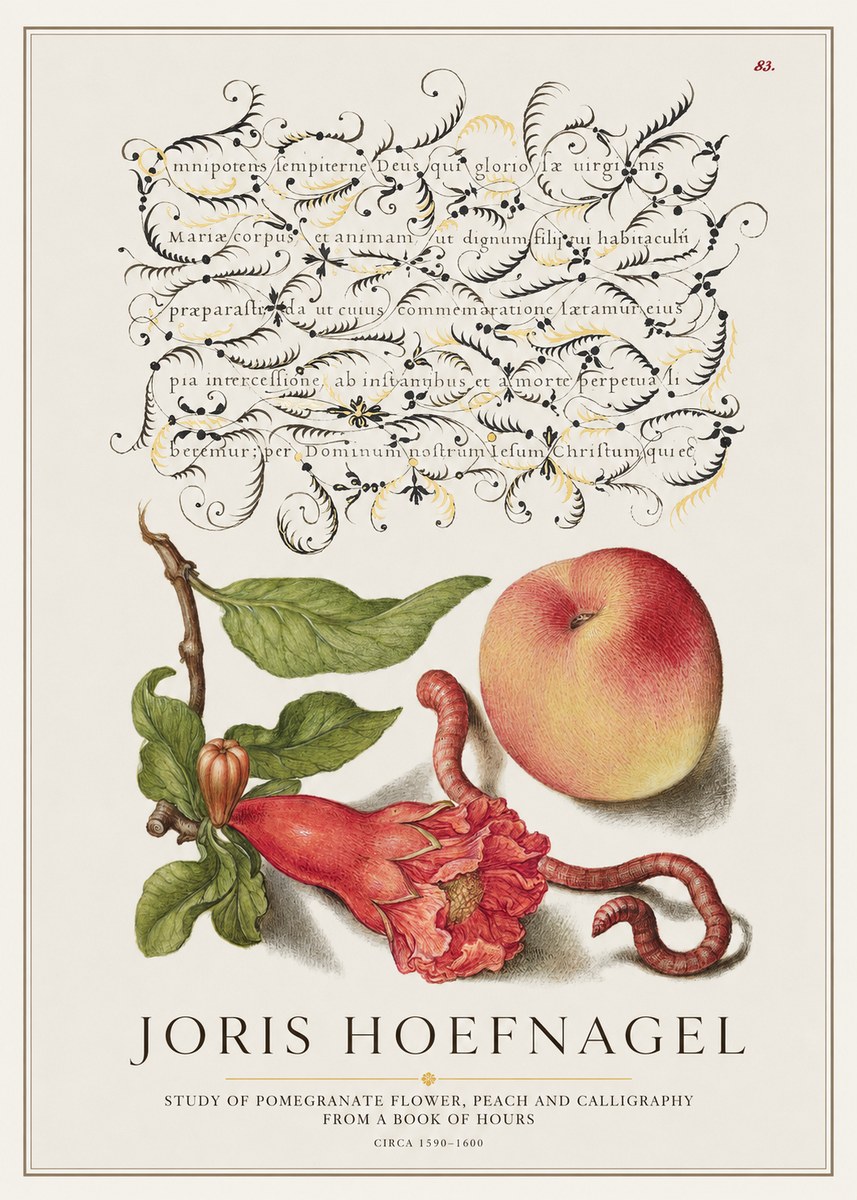 Joris Hoefnagel Study of Pomegranate Flower, Peach and Calligraphy from a Book of Hours No1 - Poszter