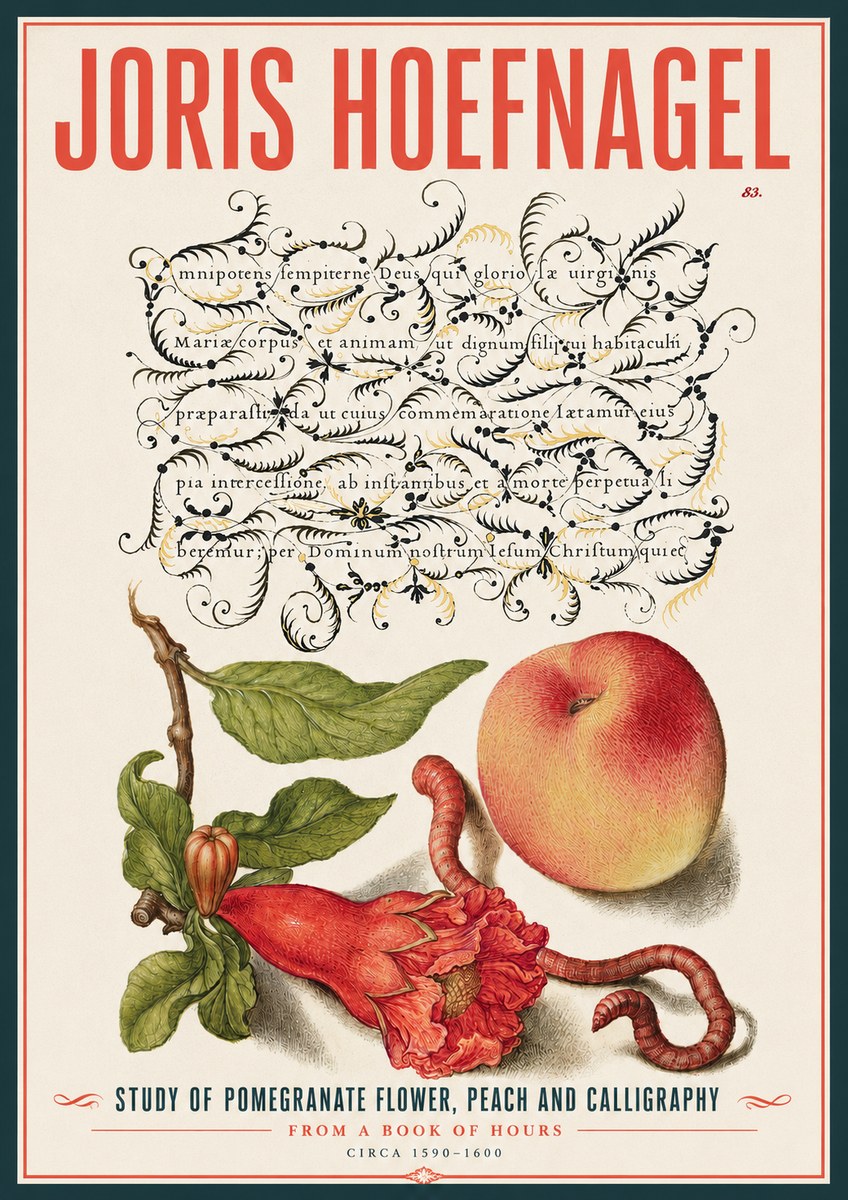 Joris Hoefnagel Study of Pomegranate Flower, Peach and Calligraphy from a Book of Hours No4 - Poszter
