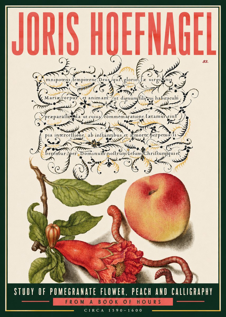 Joris Hoefnagel Study of Pomegranate Flower, Peach and Calligraphy from a Book of Hours No6 - Poszter