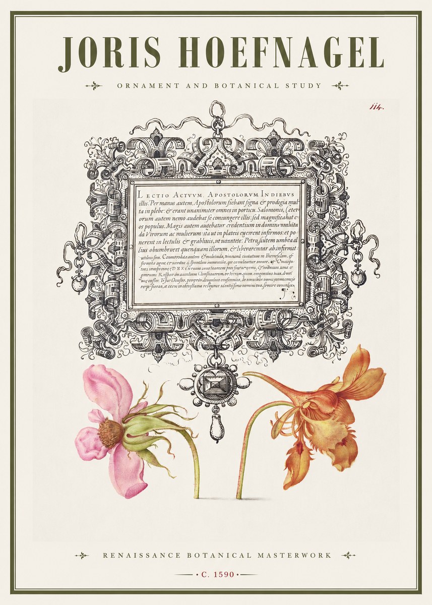Joris Hoefnagel Ornament and Botanical Study No1 - Poszter