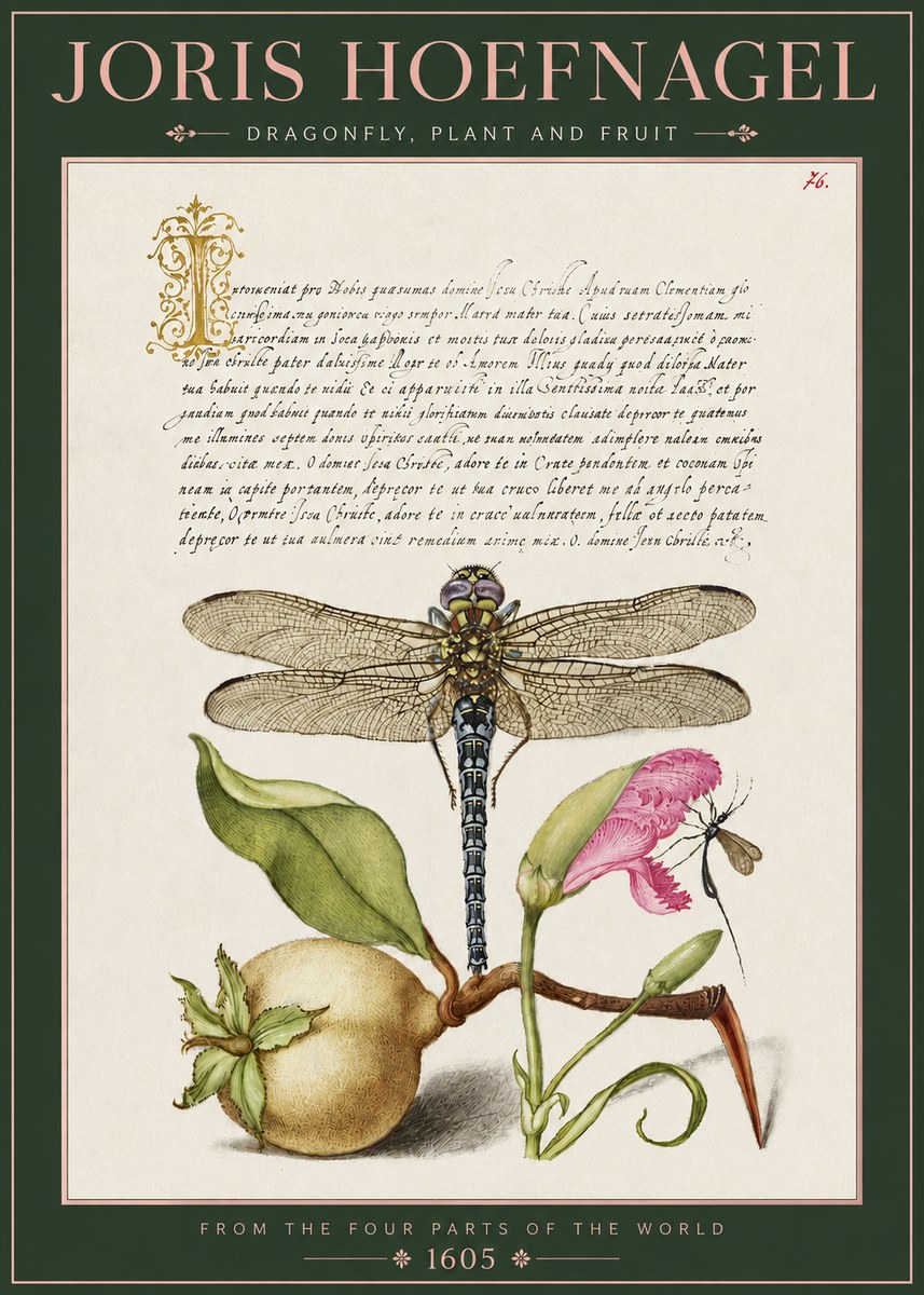 Joris Hoefnagel Dragonfly, Plant and Fruit No3 - Poszter
