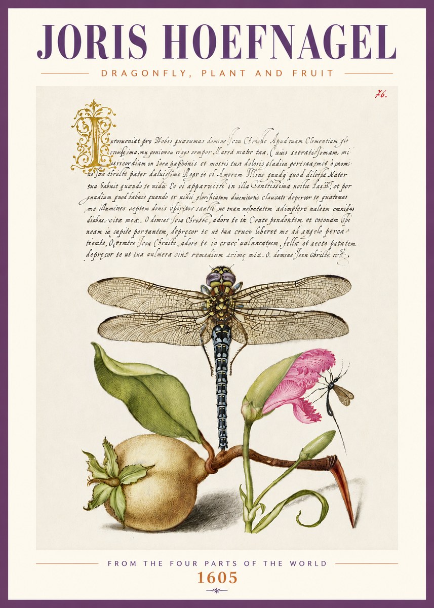 Joris Hoefnagel Dragonfly, Plant and Fruit No4 - Poszter