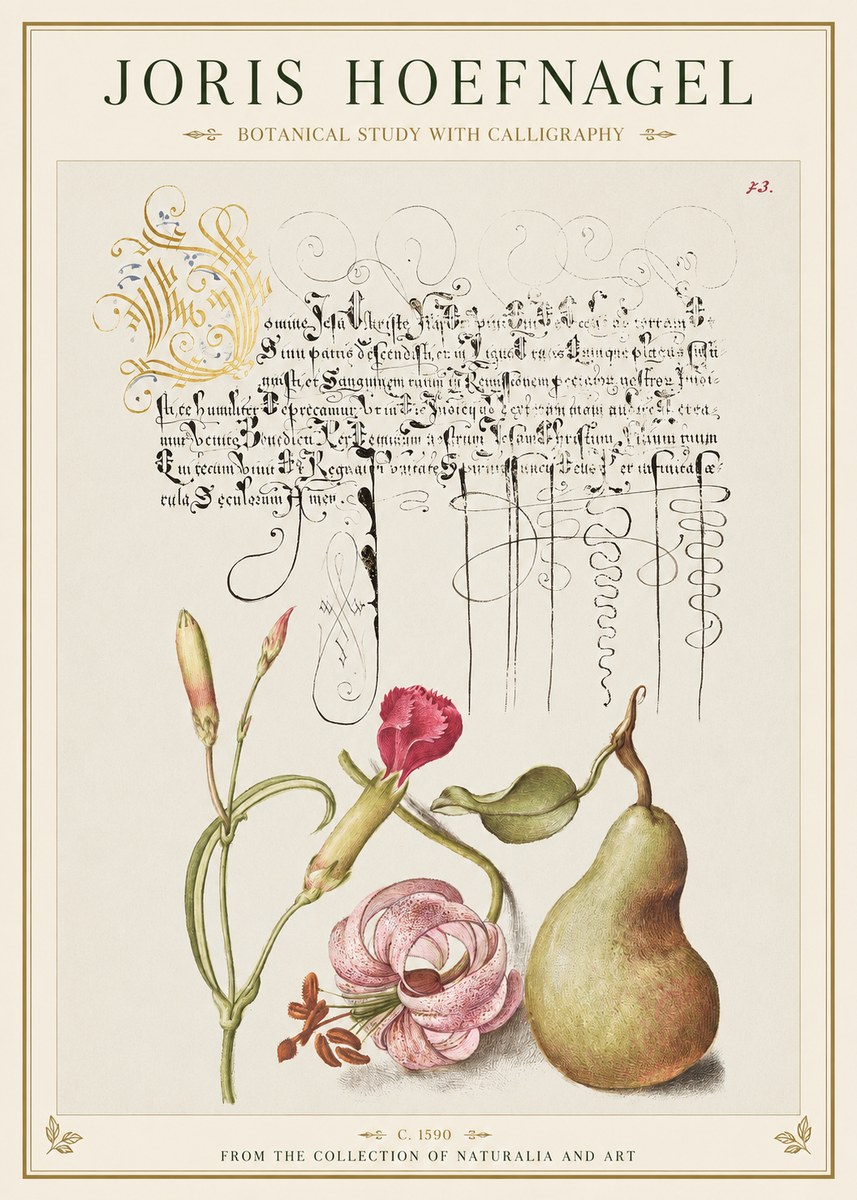 Joris Hoefnagel Botanical Study with Calligraphy II No1 - Poszter