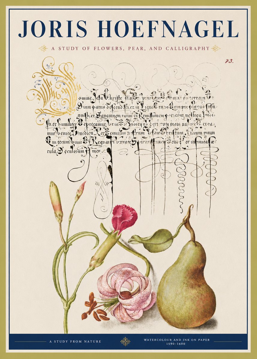 Joris Hoefnagel Botanical Study with Calligraphy II No4 - Poszter