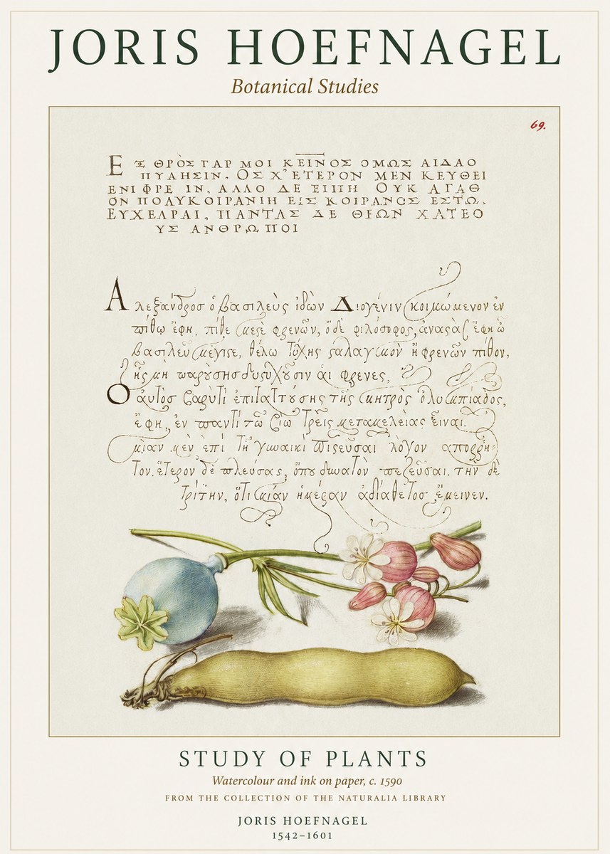 Joris Hoefnagel Study of Plants I No1 - Poszter