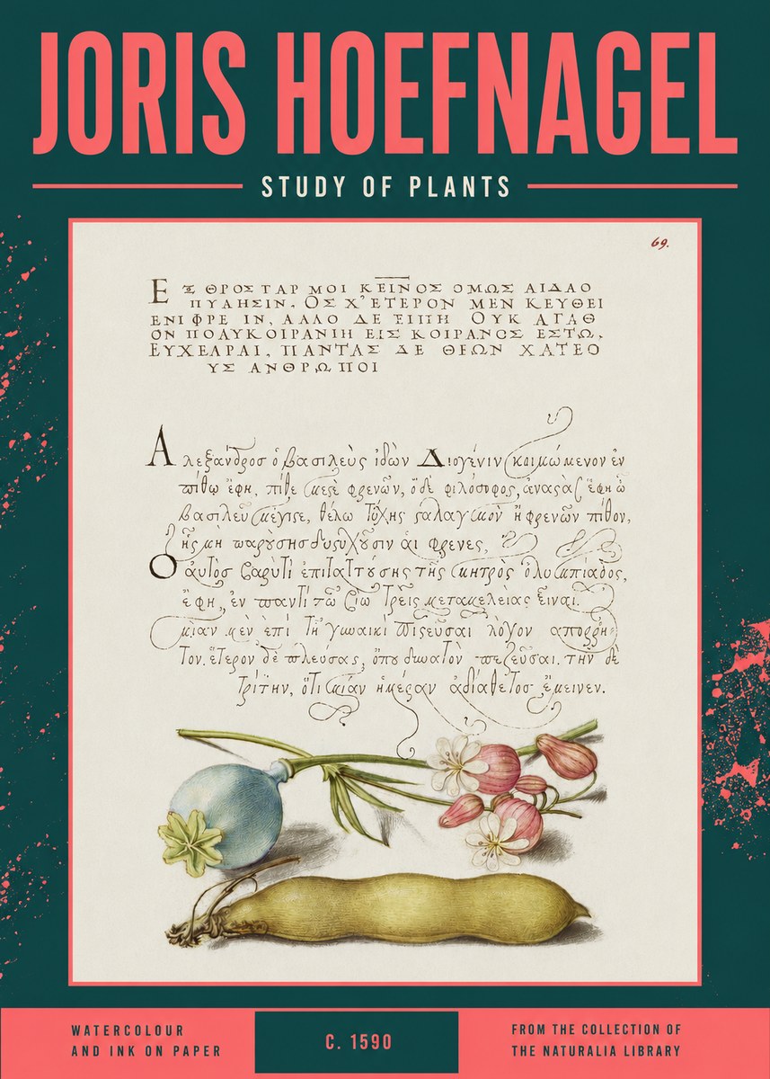 Joris Hoefnagel Study of Plants I No2 - Poszter