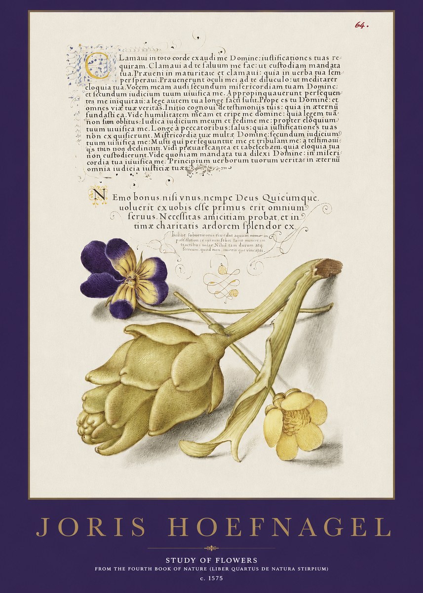 Joris Hoefnagel Botanical Study with Calligraphy III No3 - Poszter