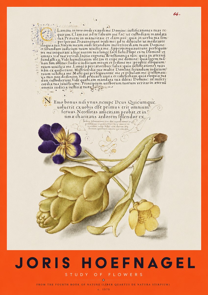 Joris Hoefnagel Botanical Study with Calligraphy III No4 - Poszter