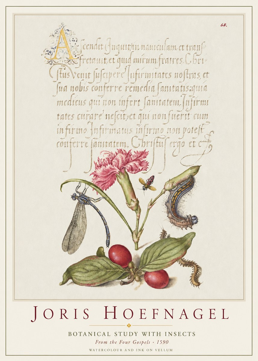 Joris Hoefnagel Botanical Study with Insects No1 - Poszter
