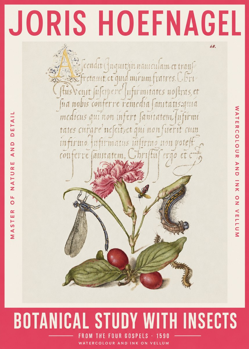 Joris Hoefnagel Botanical Study with Insects No2 - Poszter