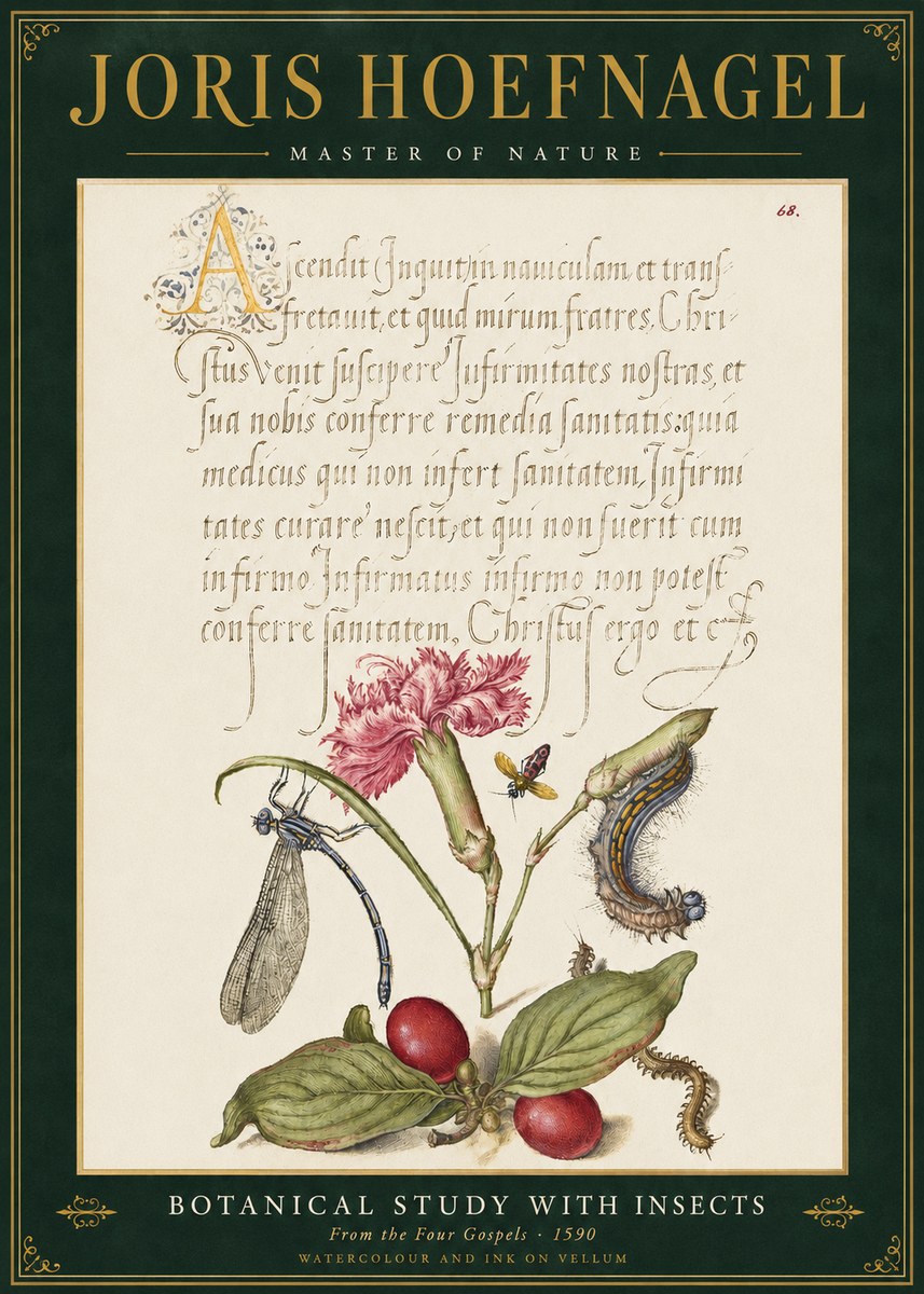Joris Hoefnagel Botanical Study with Insects No3 - Poszter