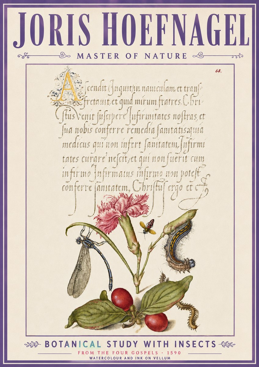 Joris Hoefnagel Botanical Study with Insects No6 - Poszter