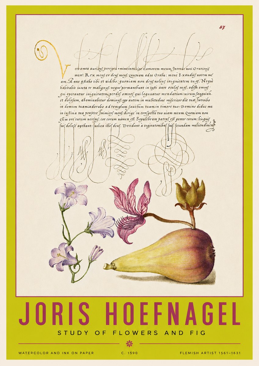 Joris Hoefnagel Study of Plants II No4 - Poszter