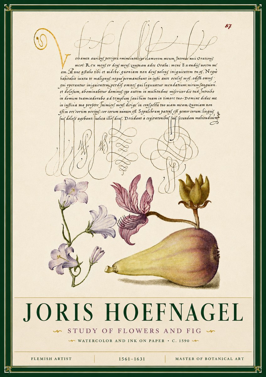 Joris Hoefnagel Study of Plants II No6 - Poszter