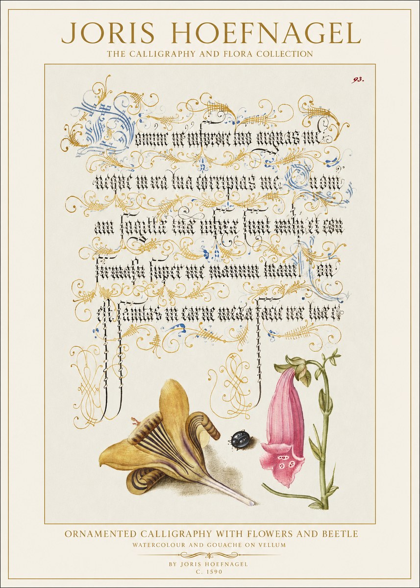 Joris Hoefnagel Ornamented Calligraphy with Flowers and Beetle No1 - Poszter