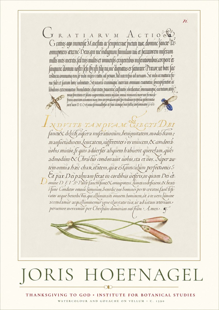Joris Hoefnagel Thanksgiving to God • Institute for Botanical Studies No1 - Poszter