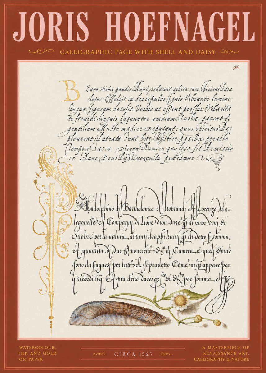 Joris Hoefnagel Calligraphic Page with Shell and Daisy No2 - Poszter