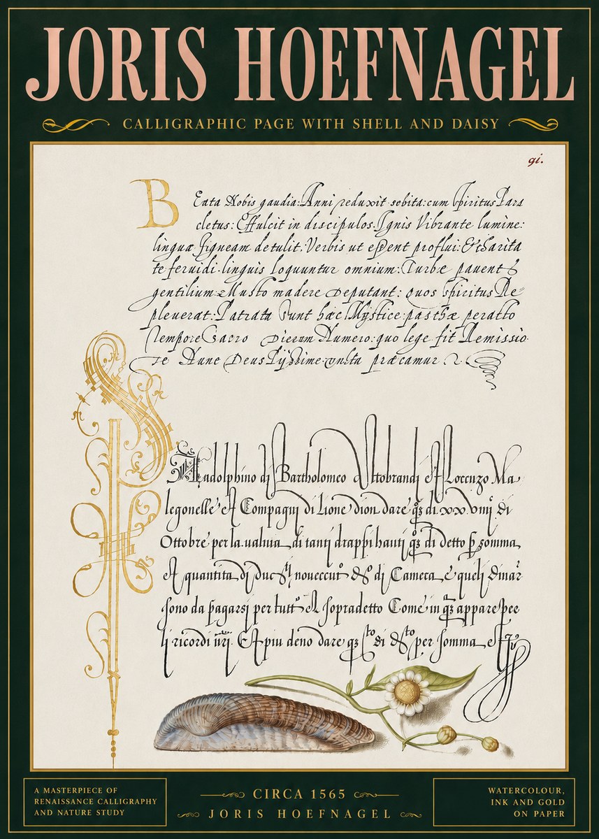 Joris Hoefnagel Calligraphic Page with Shell and Daisy No4 - Poszter
