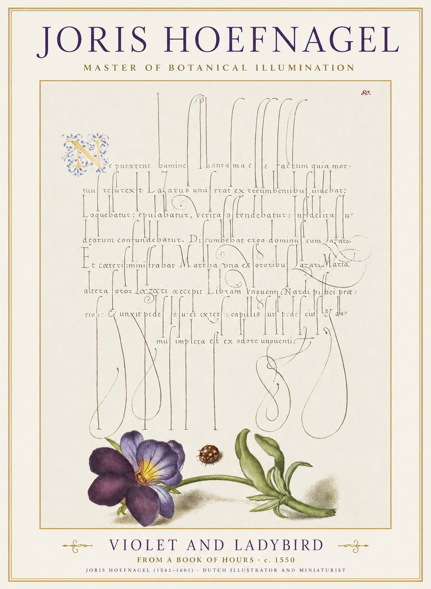 Joris Hoefnagel Violet and Ladybird No1 - Poszter