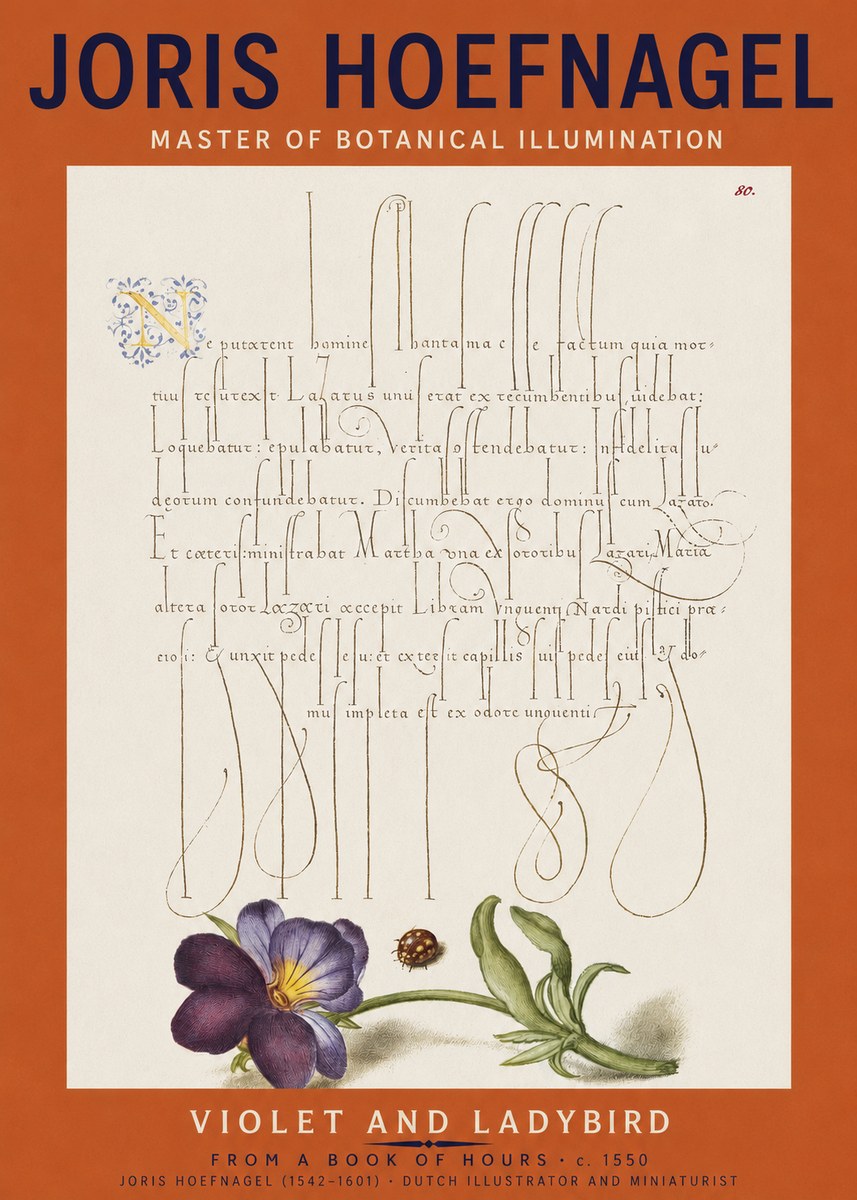 Joris Hoefnagel Violet and Ladybird No2 - Poszter