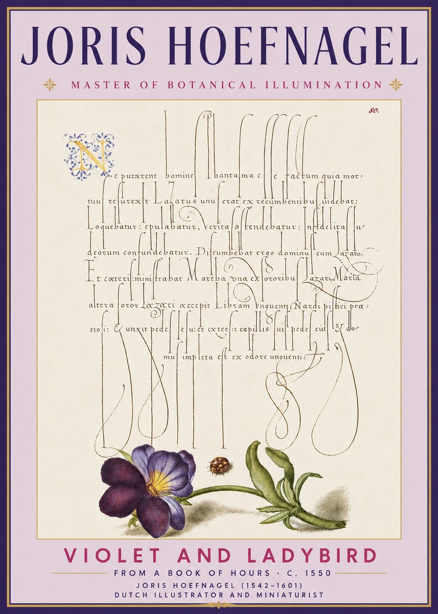Joris Hoefnagel Violet and Ladybird No3 - Poszter