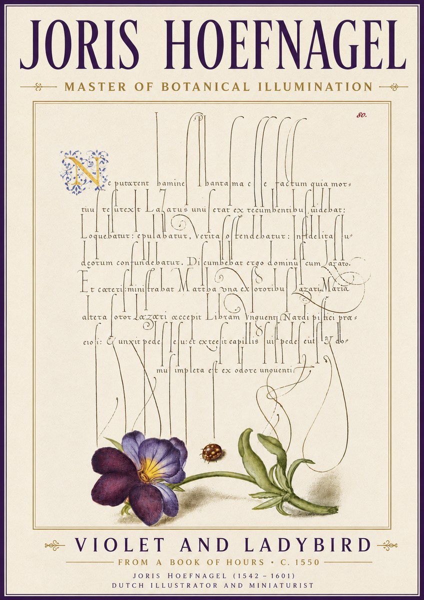 Joris Hoefnagel Violet and Ladybird No6 - Poszter