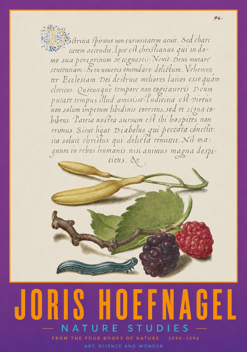 Joris Hoefnagel Nature Studies No2 - Poszter