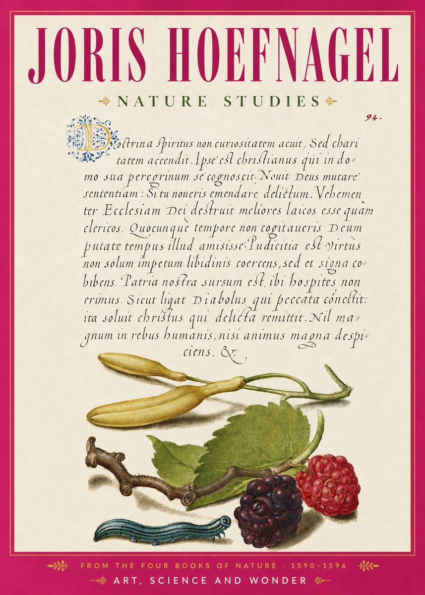 Joris Hoefnagel Nature Studies No6 - Poszter