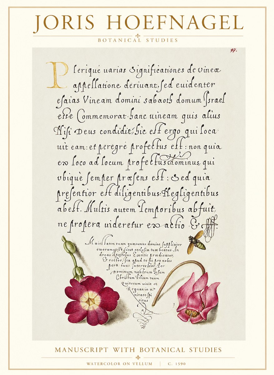 Joris Hoefnagel Manuscript with Botanical Studies No1 - Poszter