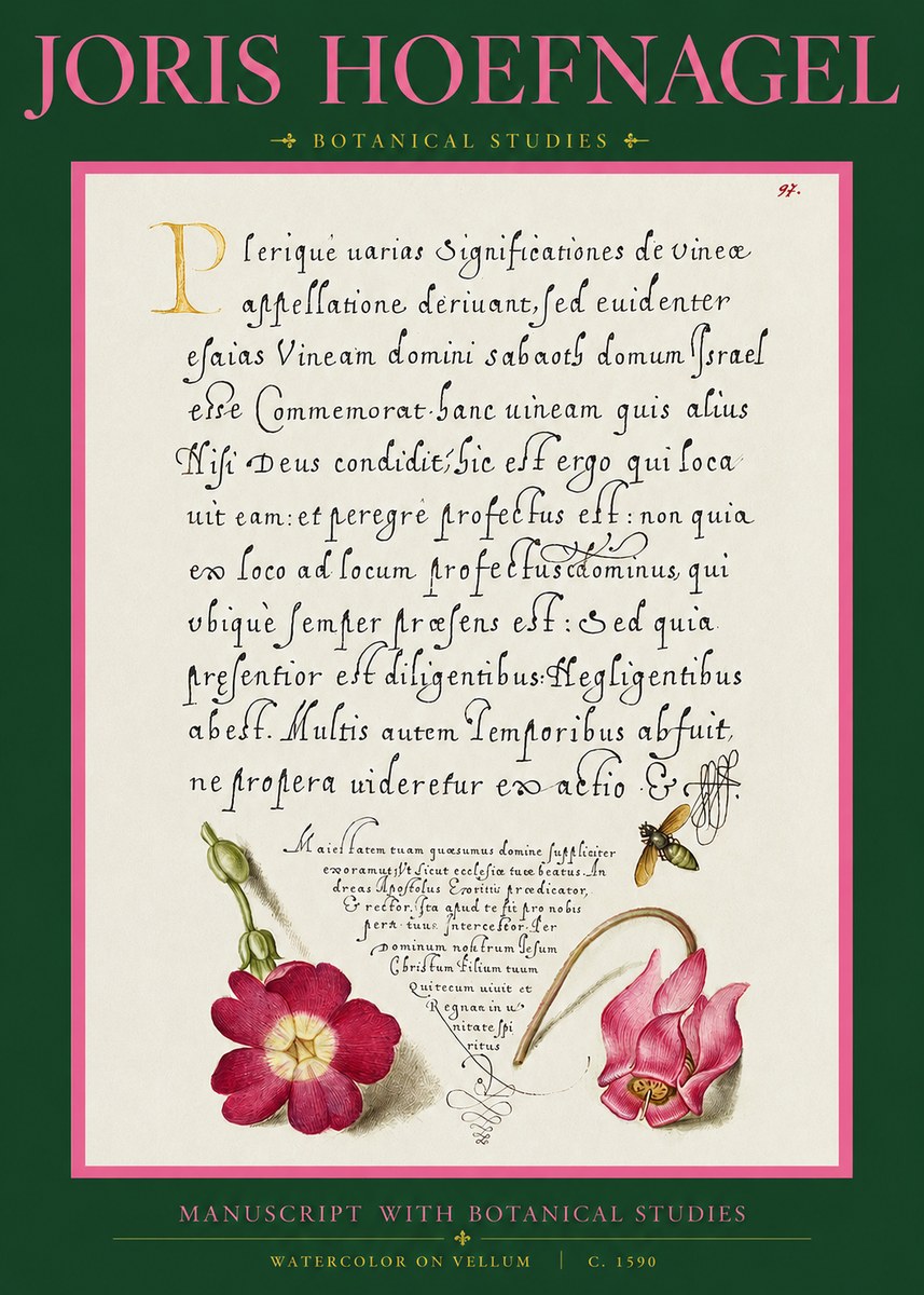 Joris Hoefnagel Manuscript with Botanical Studies No2 - Poszter
