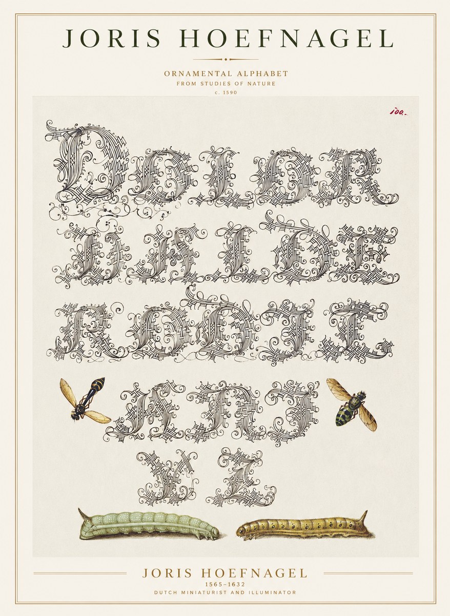 Joris Hoefnagel Ornamental Alphabet from Studies of Nature No1 - Poszter