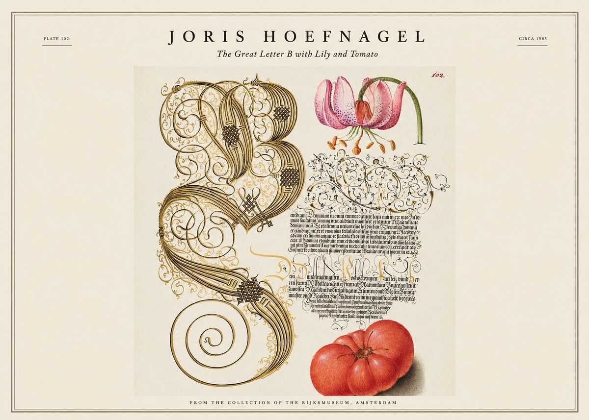 Joris Hoefnagel The Great Letter B with Lily and Tomato No1 - Poszter