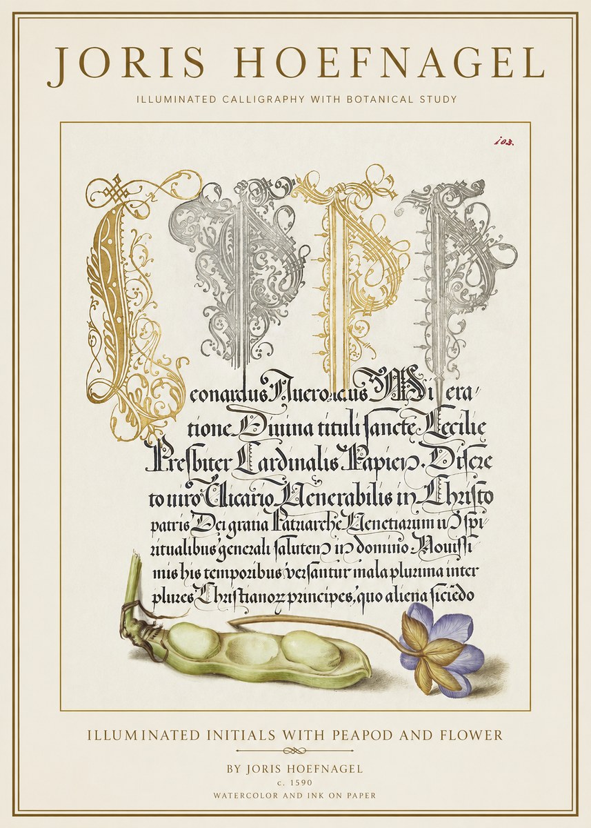 Joris Hoefnagel Illuminated Initials with Peapod and Flower No1 - Poszter