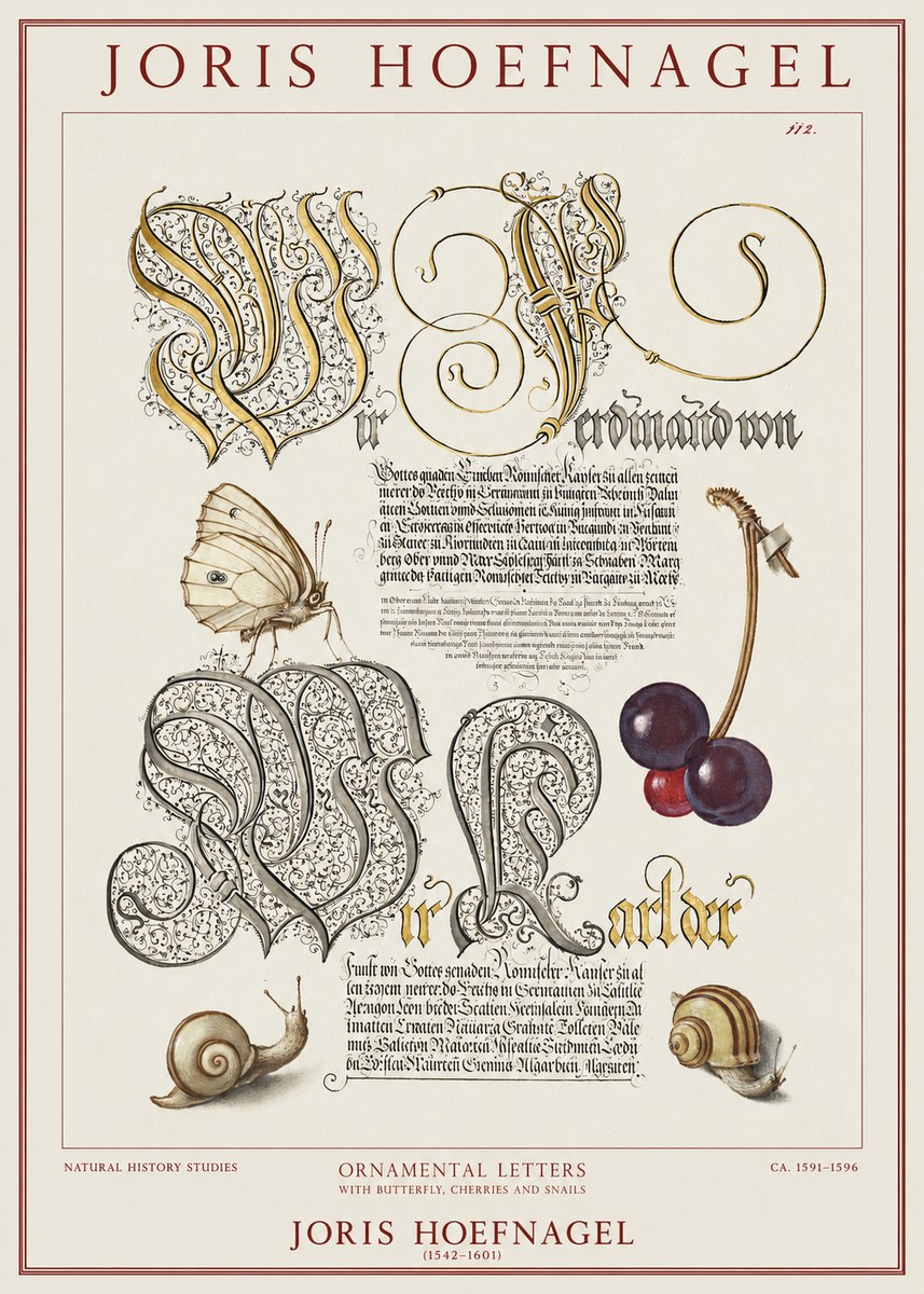 Joris Hoefnagel Ornamental Letters with Butterfly, Cherries and Snails No1 - Poszter