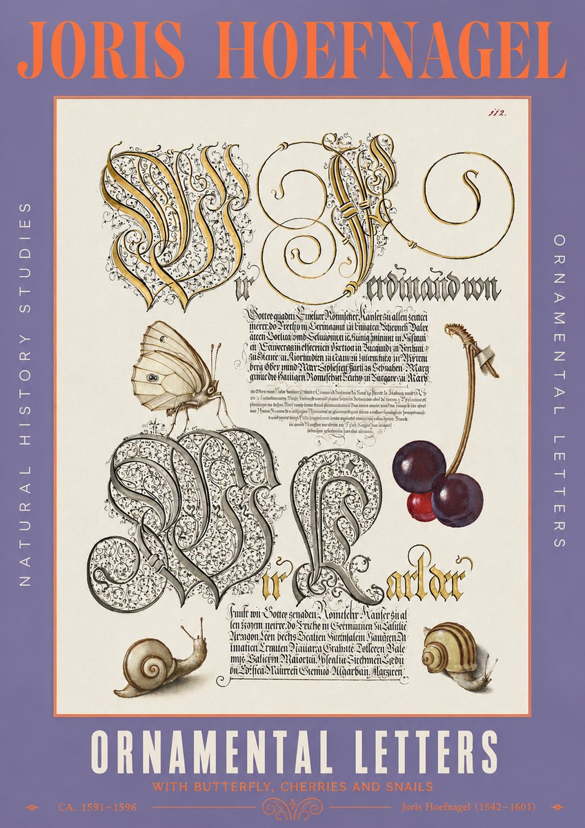 Joris Hoefnagel Ornamental Letters with Butterfly, Cherries and Snails No3 - Poszter