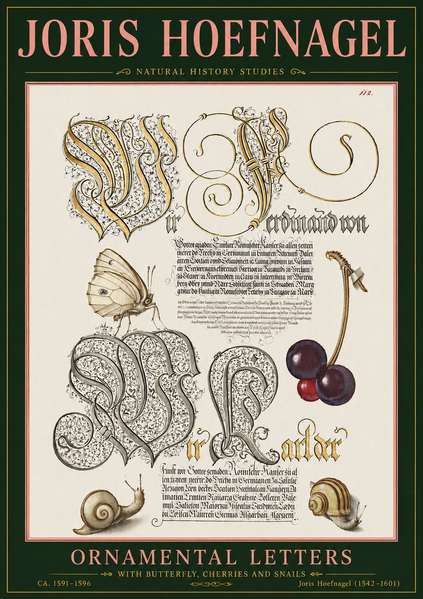 Joris Hoefnagel Ornamental Letters with Butterfly, Cherries and Snails No5 - Poszter