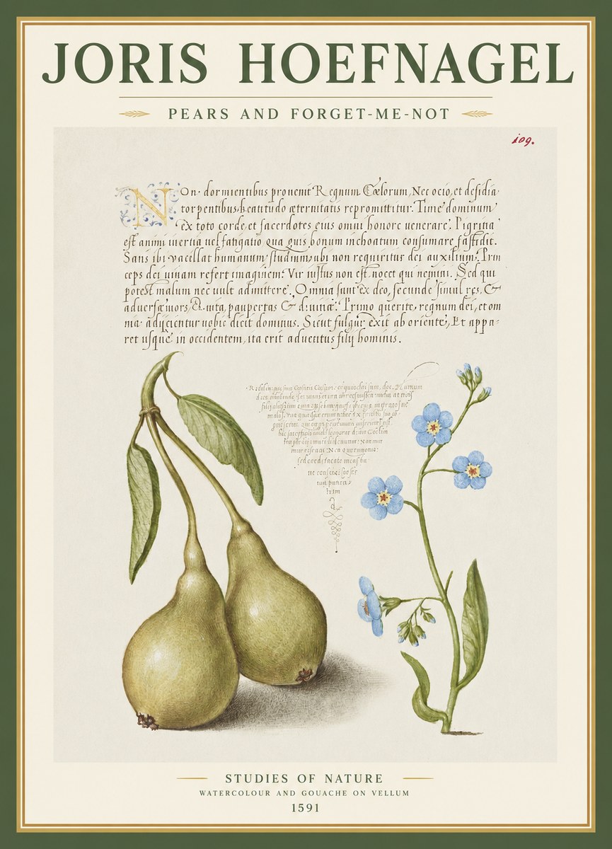 Joris Hoefnagel Pears and Forget-me-not No1 - Poszter