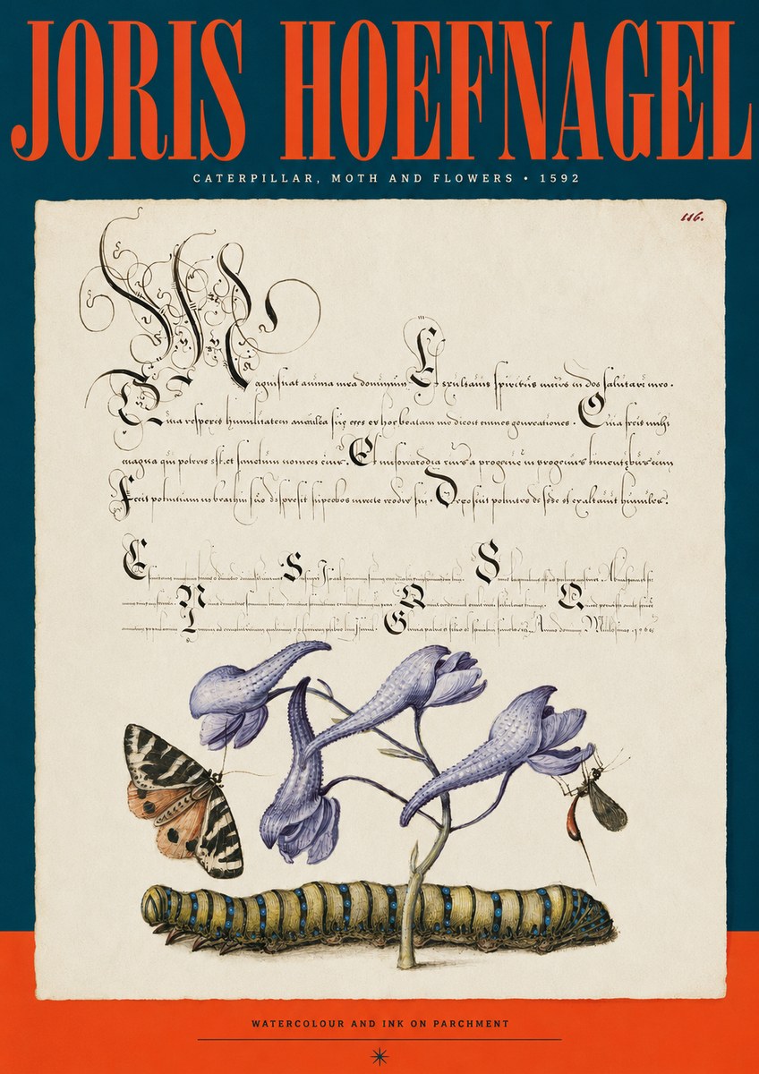 Joris Hoefnagel Caterpillar, Moth and Flowers No2 - Poszter