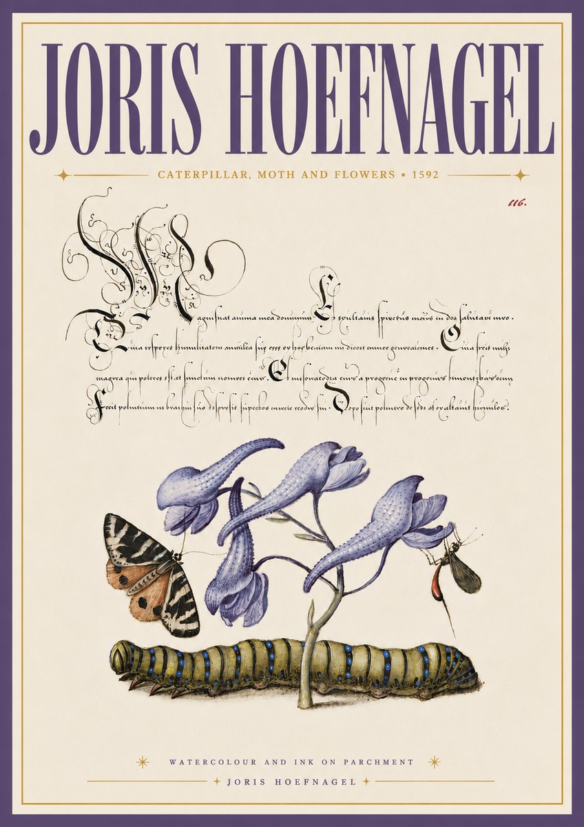 Joris Hoefnagel Caterpillar, Moth and Flowers No6 - Poszter