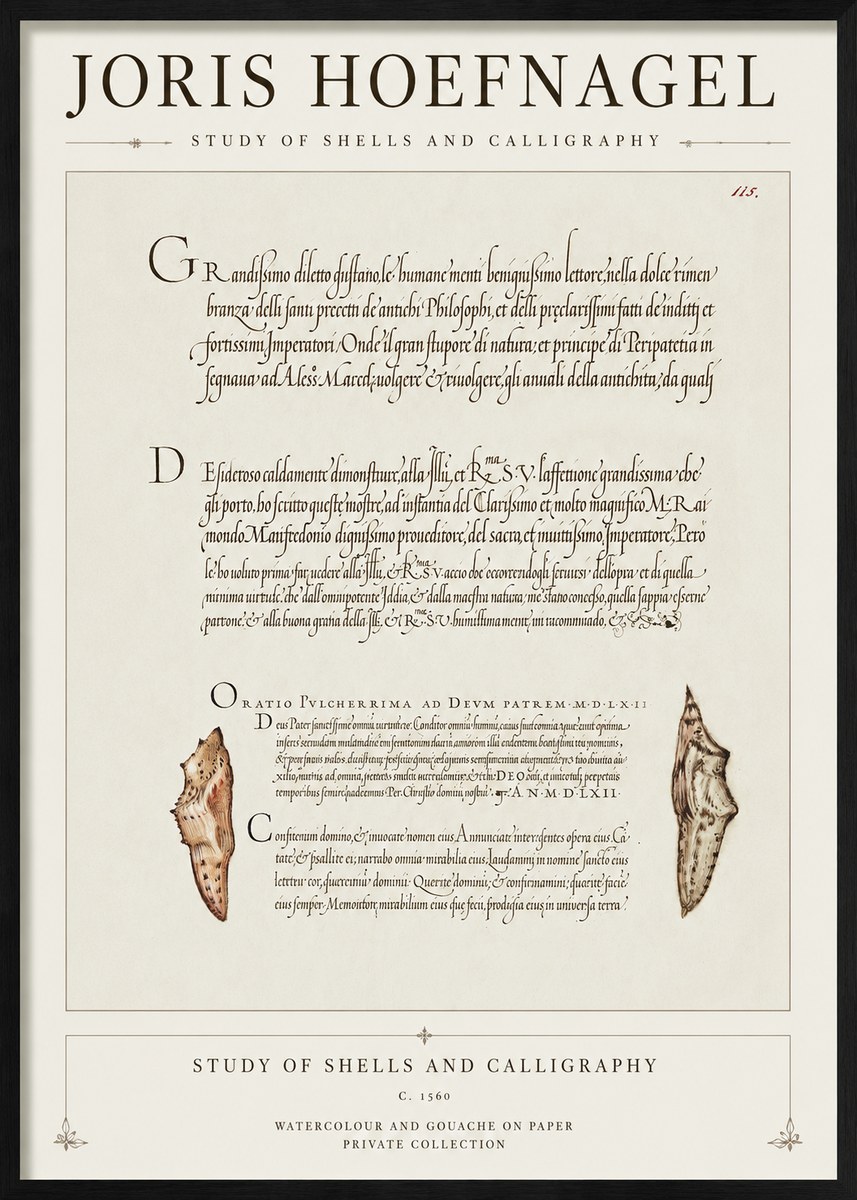 Joris Hoefnagel Study of Shells and Calligraphy No1 - Poszter