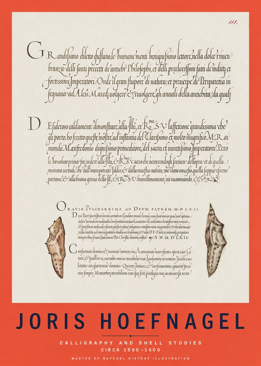 Joris Hoefnagel Study of Shells and Calligraphy No3 - Poszter