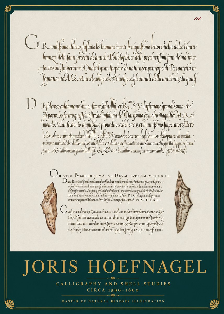 Joris Hoefnagel Study of Shells and Calligraphy No4 - Poszter