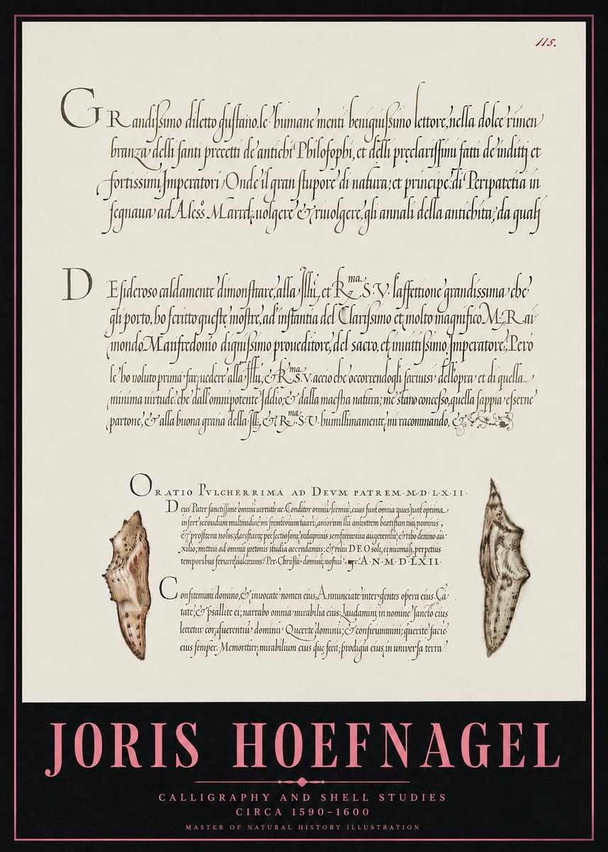 Joris Hoefnagel Study of Shells and Calligraphy No5 - Poszter